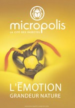 Micropolis