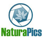 Naturapics.com : juin 2009