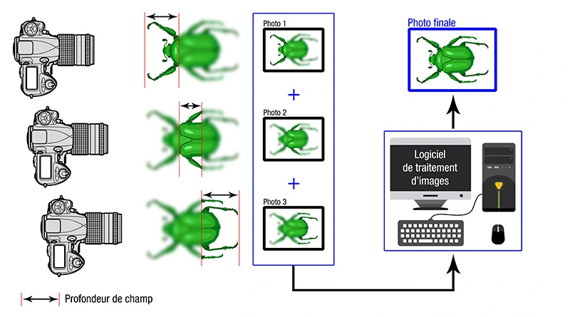 Illustration théorique du focus stacking