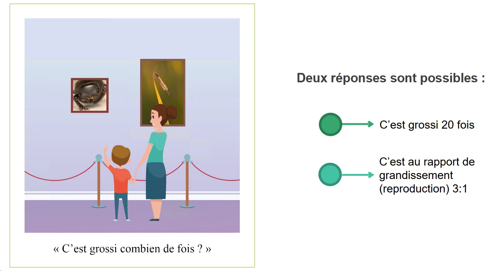 c'est grossi combien de fois ?