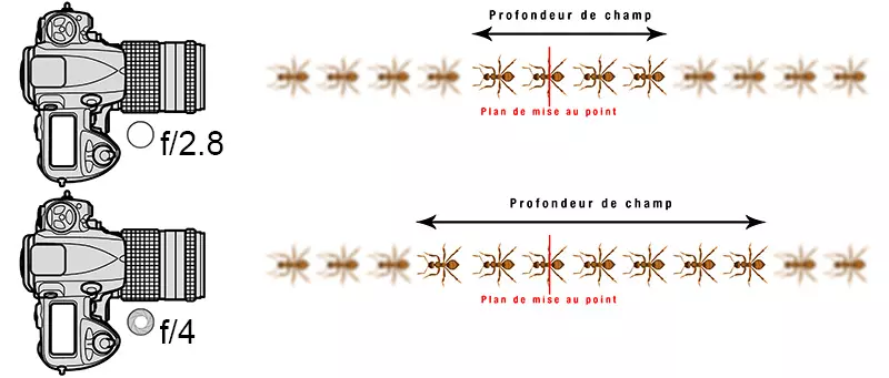 Illustration de la profondeur de champ en fonction de l'ouverture du diaphragme