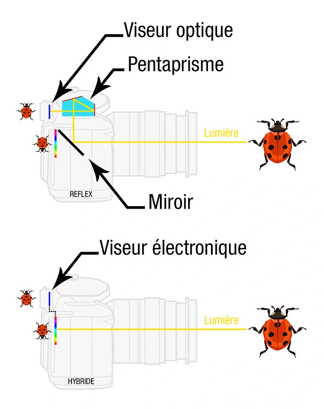 Mode de fonctionnement d'un appareil reflex et d'un hybride